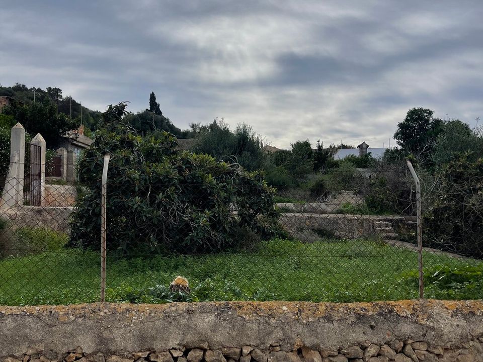 Helårsgrund i Felanitx, Mallorca - foto 2